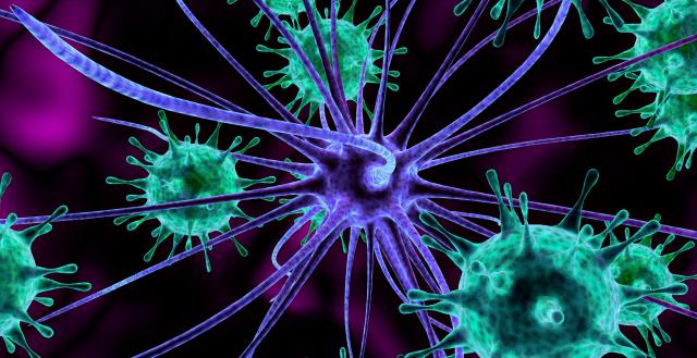 Autoimune bolesti mogu samo da se uspore